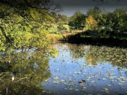 Moss House Farm Campsite