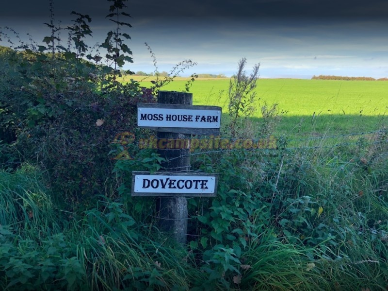 Moss House Farm Campsite