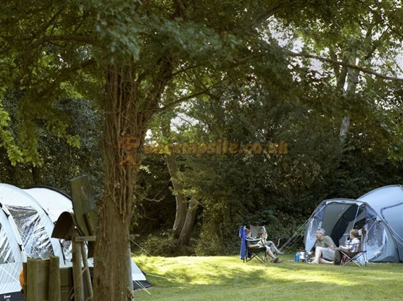 Corfe Castle Dorset Camping