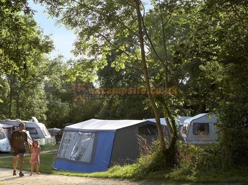 Corfe Castle Dorset Camping