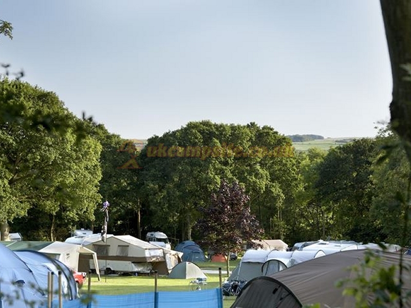 Corfe Castle Dorset Camping