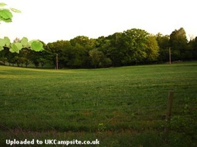 Strawberry Fields ( Adults Only )