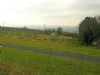 Clay Pigeon Caravan Park Clay Pigeon Caravan Park