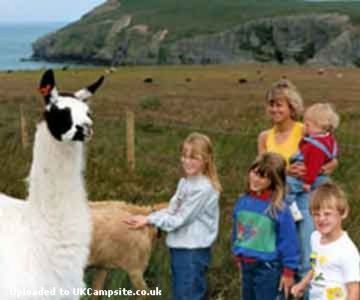 Cardigan Island Coastal Farm Park