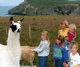 Cardigan Island Coastal Farm Park Cardigan Island Coastal Farm Park