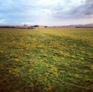 Pant Gwyn Farm