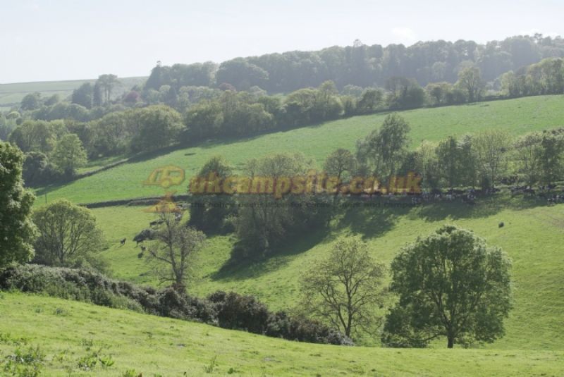 Hook Farm Camping And Caravan Park