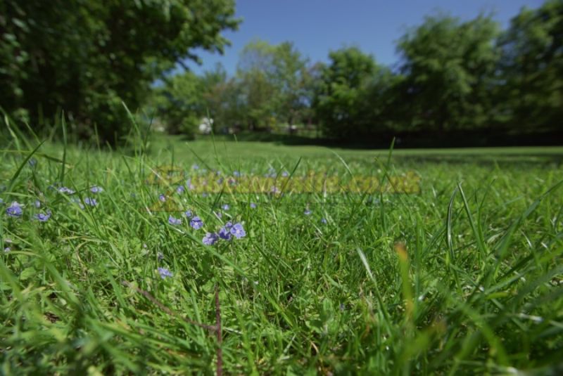 Hook Farm Camping And Caravan Park