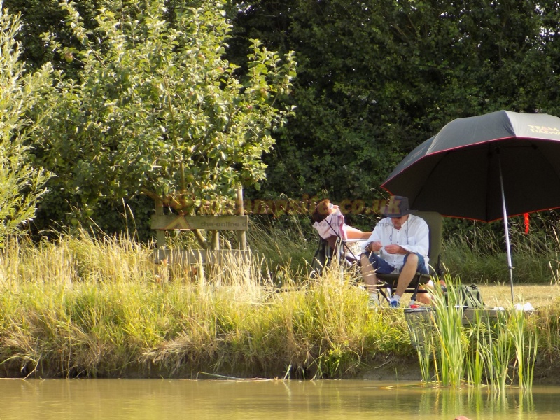 Withy Water Caravan And Campsite