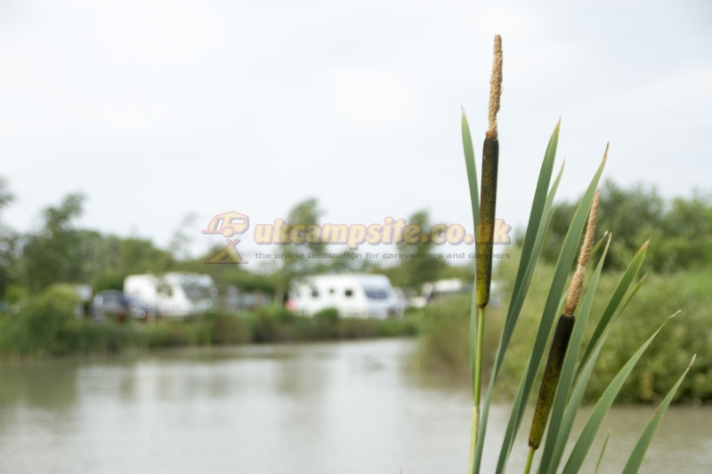 Withy Water Caravan And Campsite