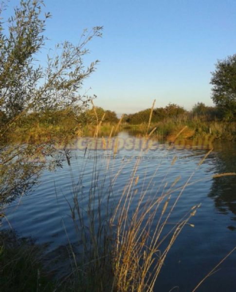 Withy Water Caravan And Campsite