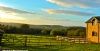 The Nipstone Campsite