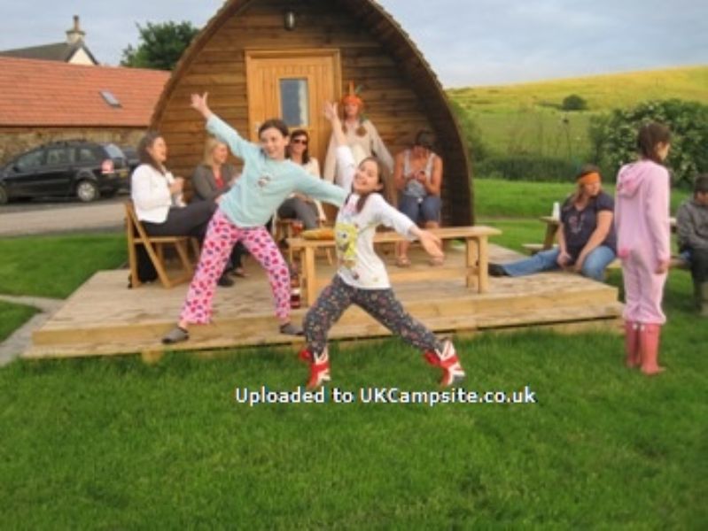 Hilly Cow Wigwams