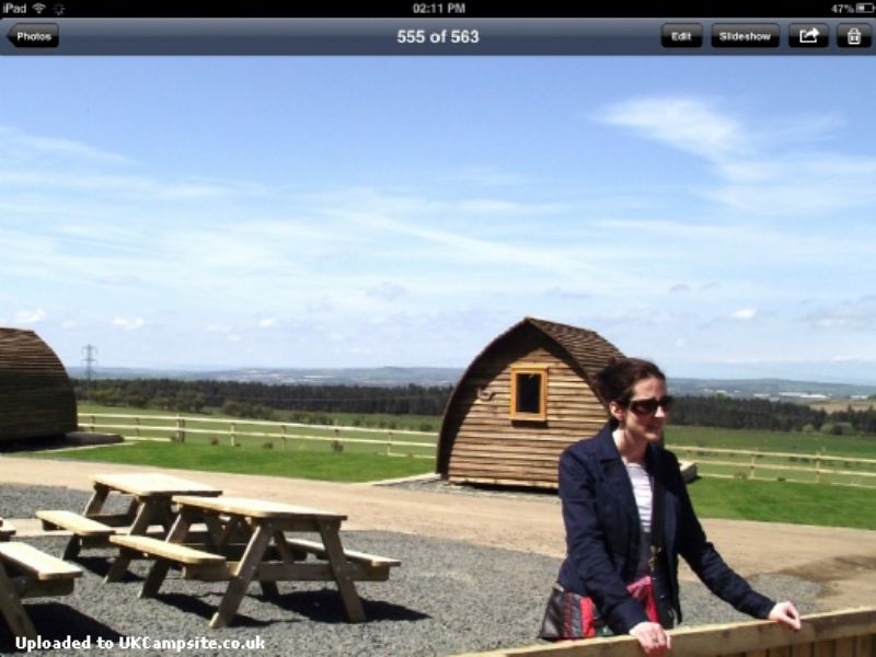 Hilly Cow Wigwams