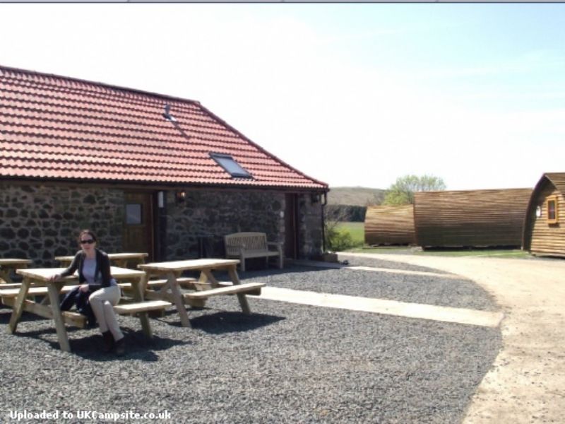 Hilly Cow Wigwams