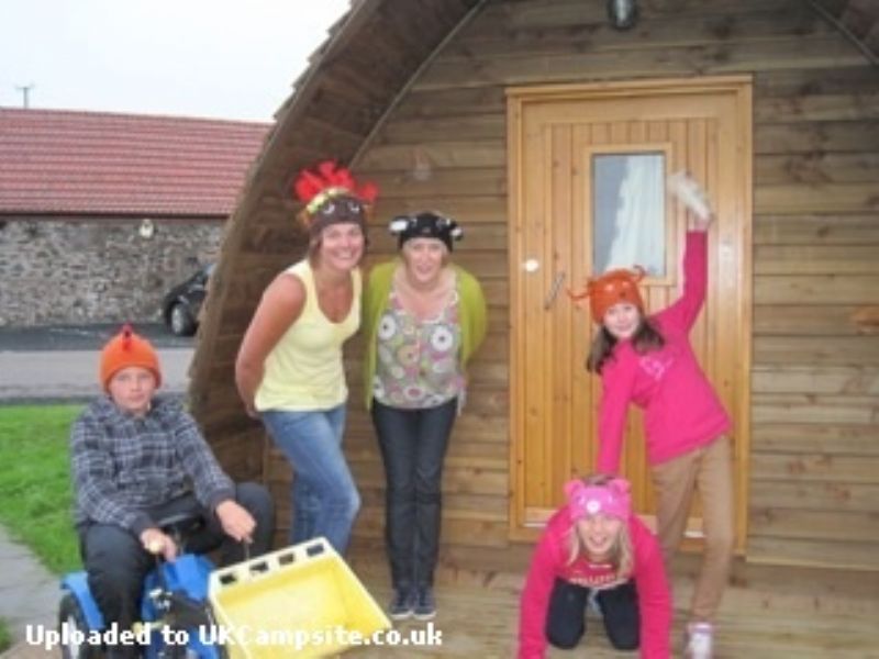Hilly Cow Wigwams
