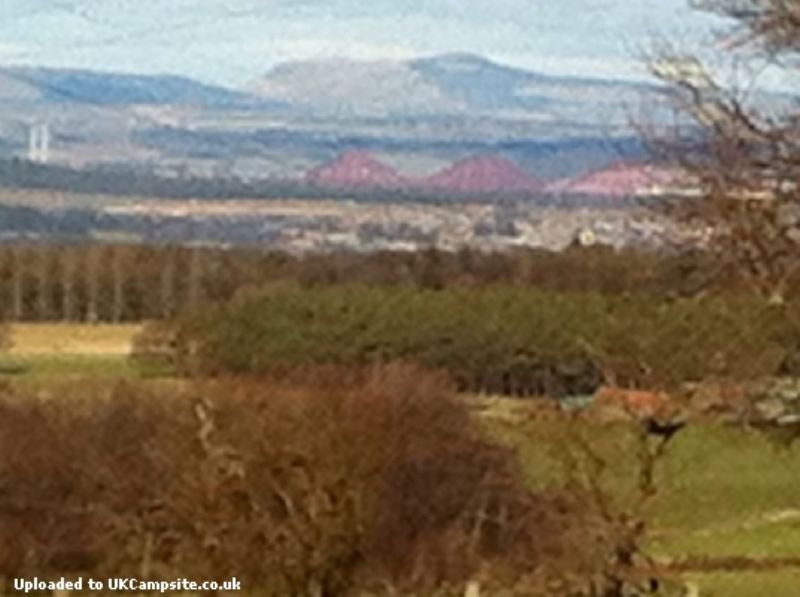 Hilly Cow Wigwams