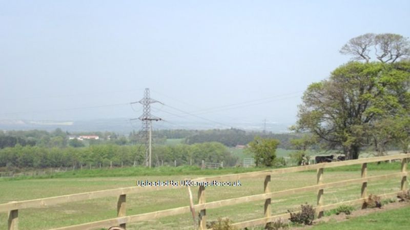 Hilly Cow Wigwams