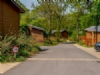 Wareham Forest Lodge Retreat Wareham Forest Lodge Retreat
