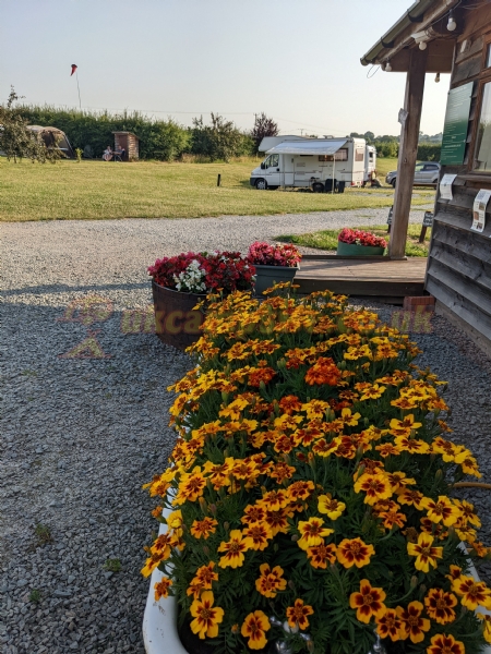 Trippenkennett Farm Amping And Caravanning Site