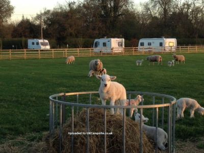 Millbridge Farm