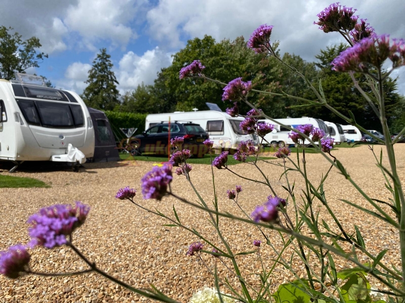 South Lytchett Manor Caravan And Camping Park