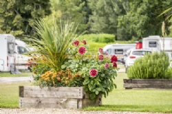 South Lytchett Manor Caravan And Camping Park