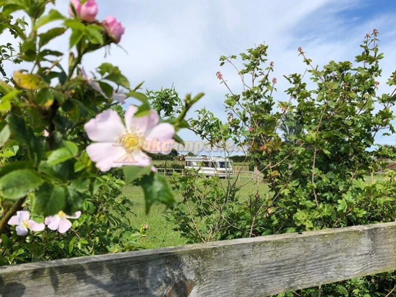 Lee Wick Farm Cottages Glamping And Touring
