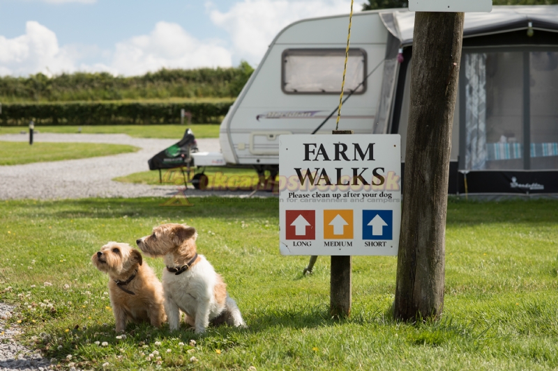 Cliff Farm Caravan Park