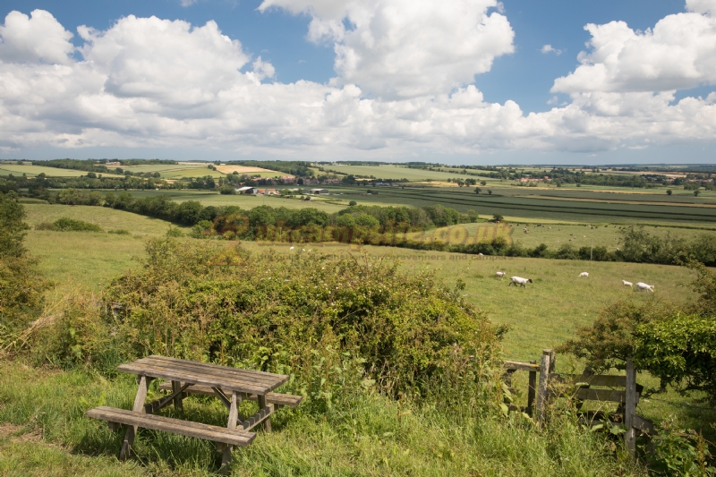 Cliff Farm Caravan Park