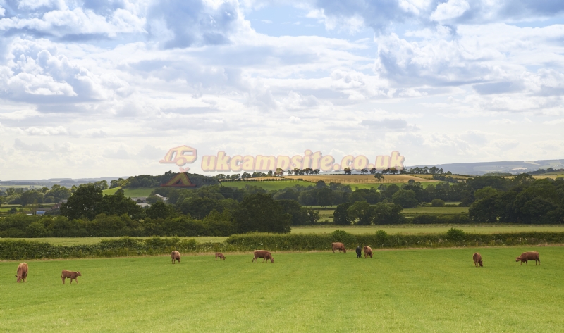 Cliff Farm Caravan Park