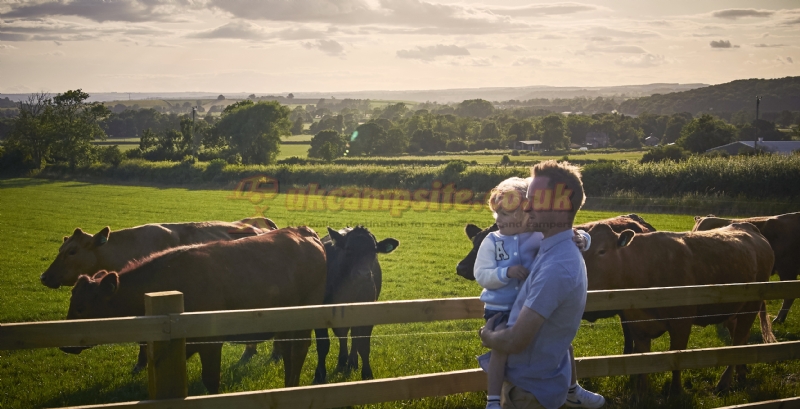Cliff Farm Caravan Park