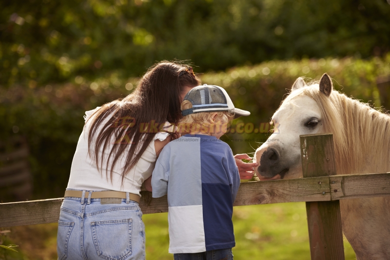Cliff Farm Caravan Park