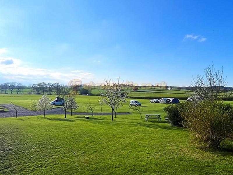 Teds Farm Camping