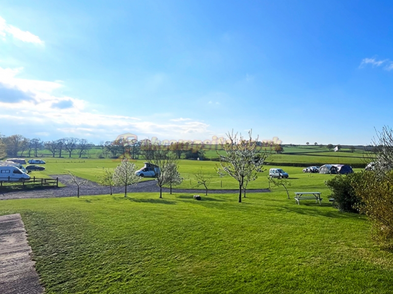 Teds Farm Camping