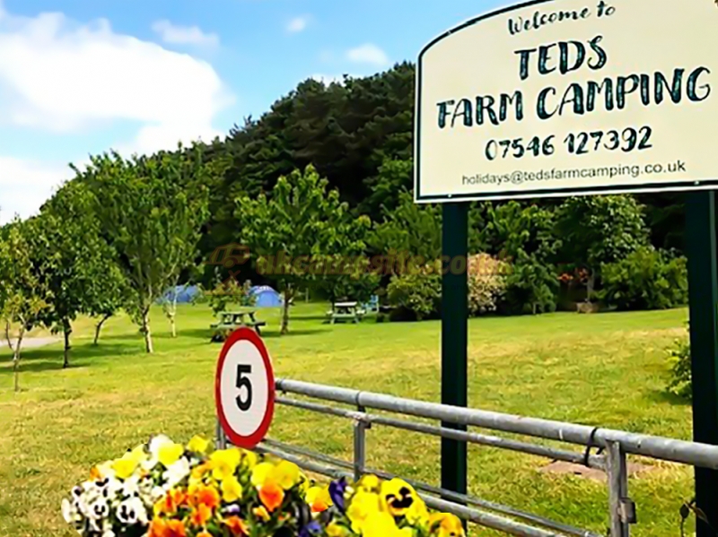 Teds Farm Camping