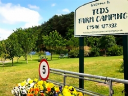 Teds Farm Camping