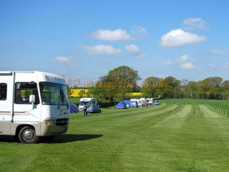 Teds Farm Camping