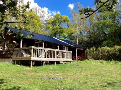 Plywood Palace