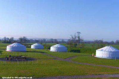 Caalm Camp Yurt Camping
