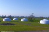 Caalm Camp Yurt Camping