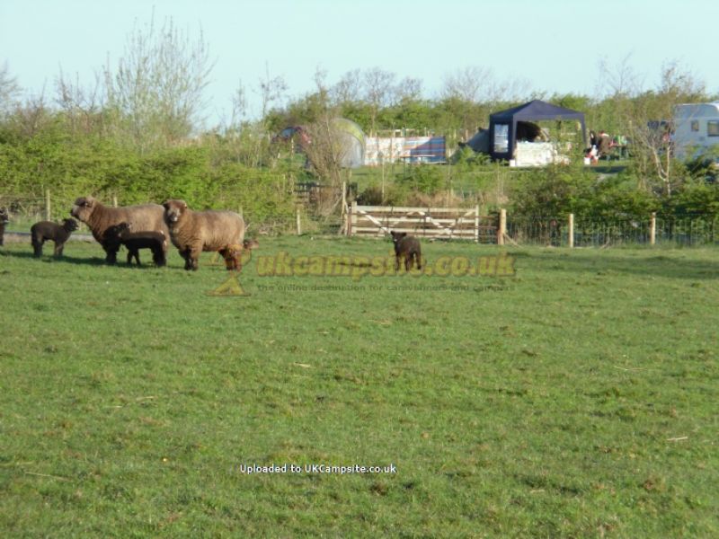 Fell View Park Camping And Caravan Site