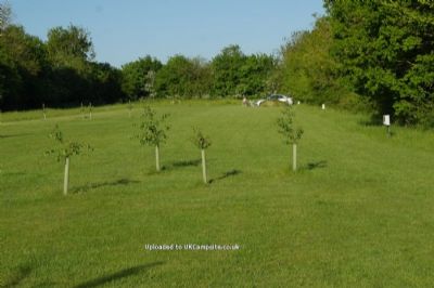Primrose Paddock Shepherds Hut
