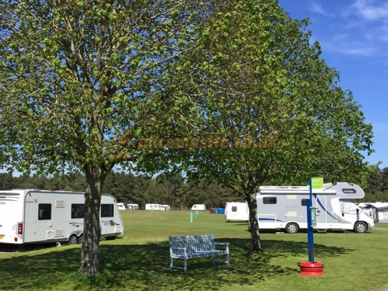 Birchwood Tourist Park