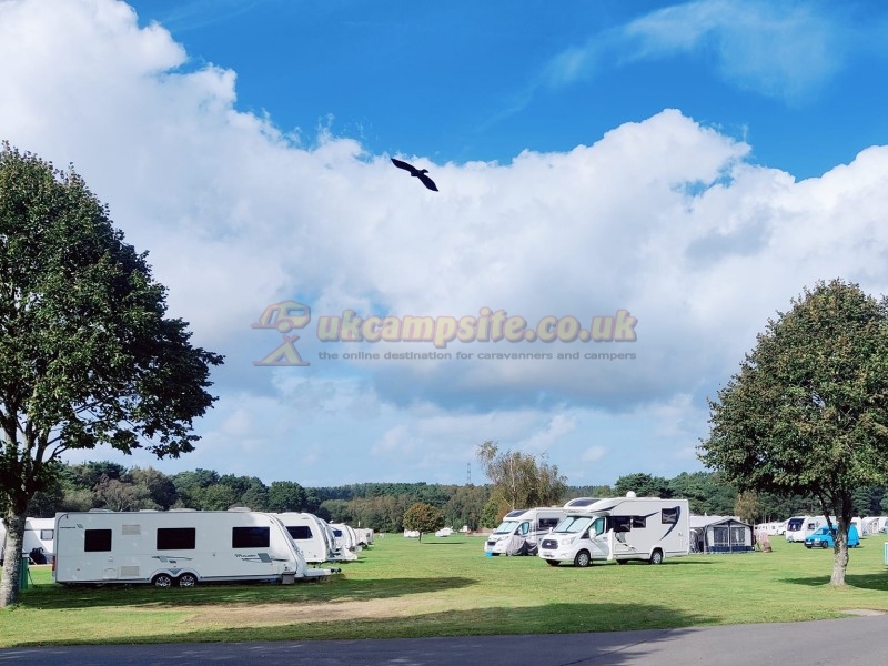 Birchwood Tourist Park