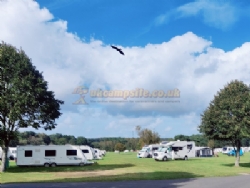 Birchwood Tourist Park
