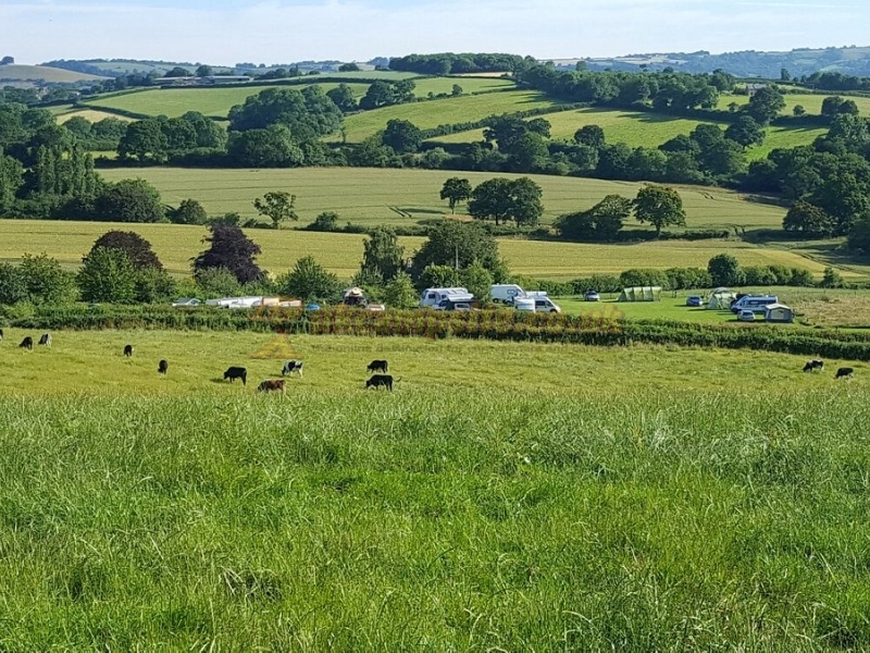 Pineapple Farm Holidays