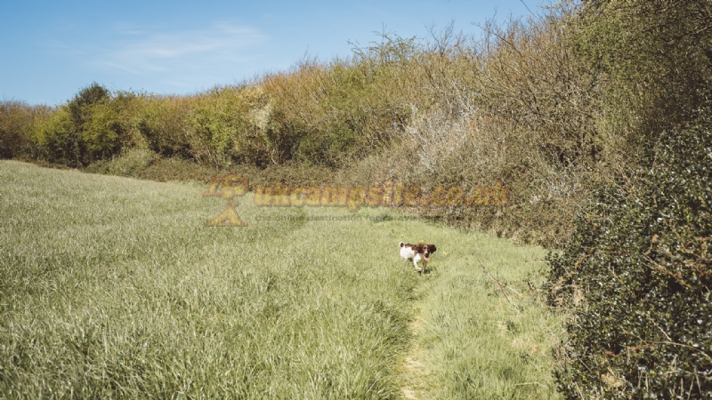 Pineapple Farm Holidays