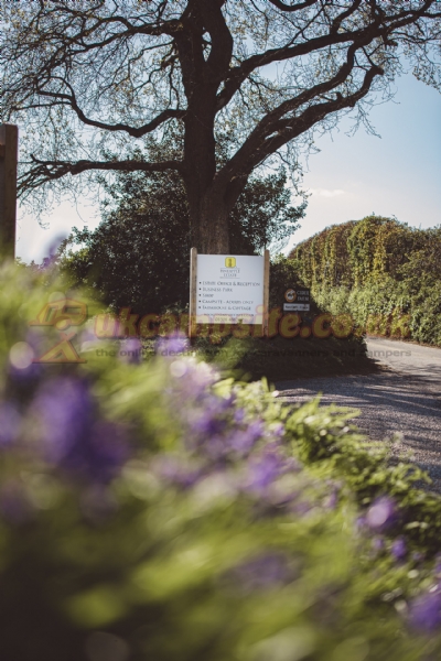 Pineapple Farm Holidays