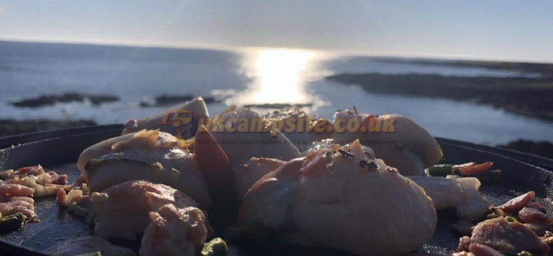 Wavecrest Campsite